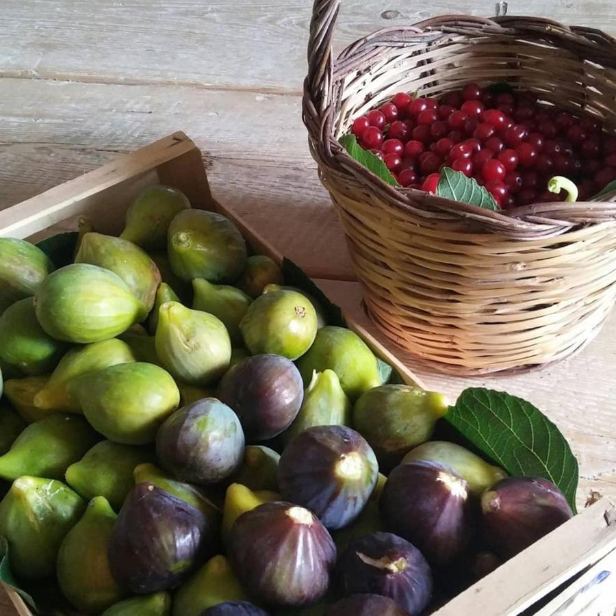 Masseria Celano Grottaglie Zewnętrze zdjęcie